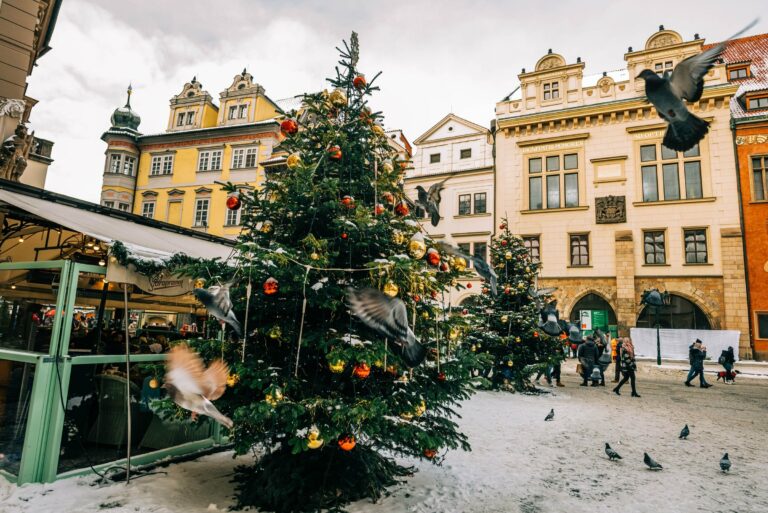 A snowy Christmas market in Prague