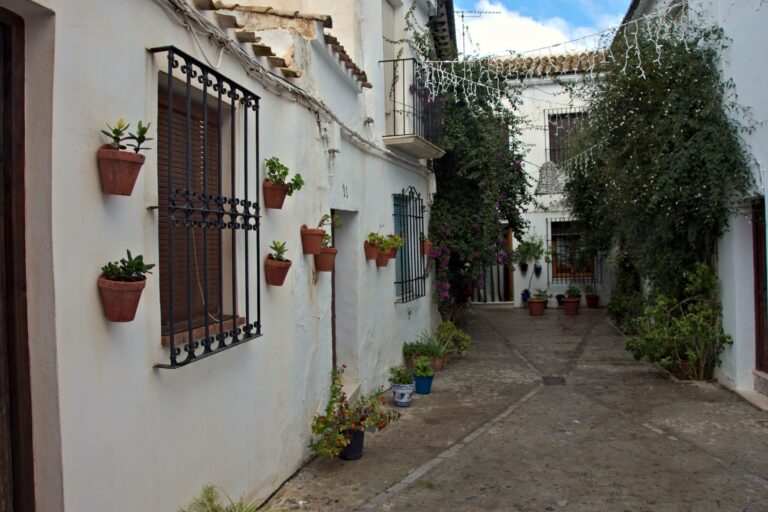 A flower-lined street in Priego de Córdoba