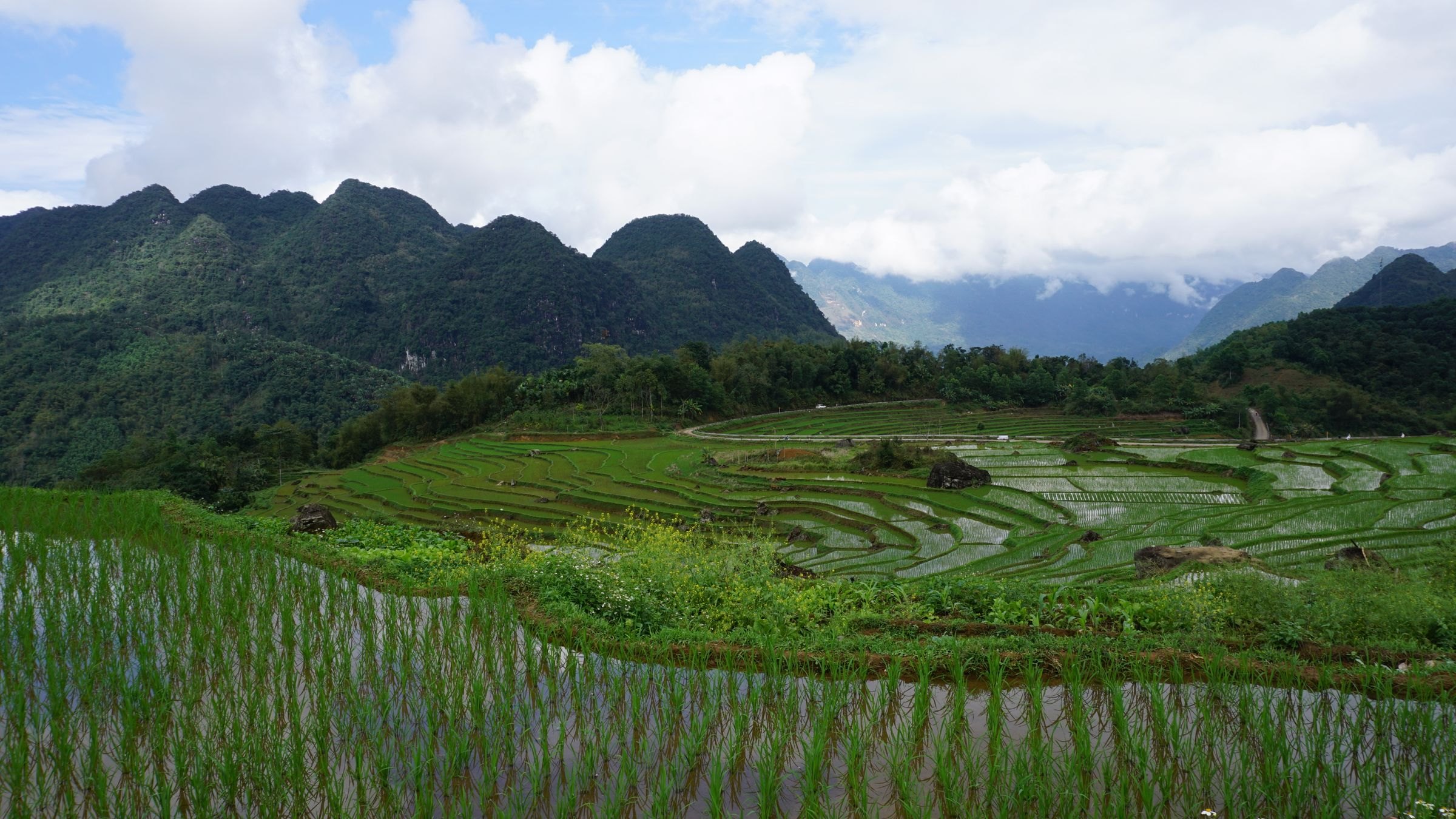 Rice terraces in the Pu Luong Nature Reserve