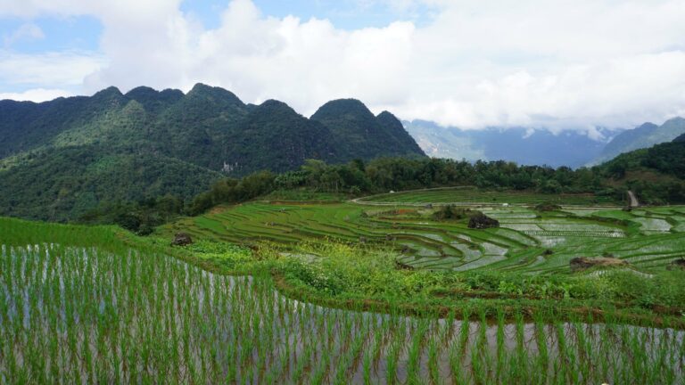 Paddy fields in the Pu Luong valley