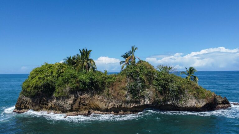 A palm-covered islet off Puerto Viejo