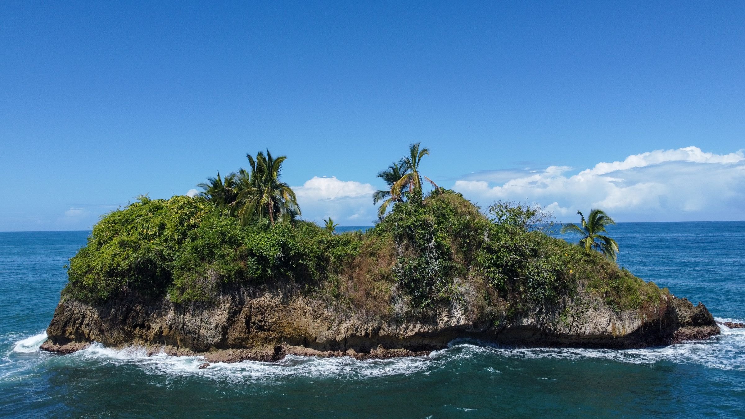 A palm-covered islet off Puerto Viejo