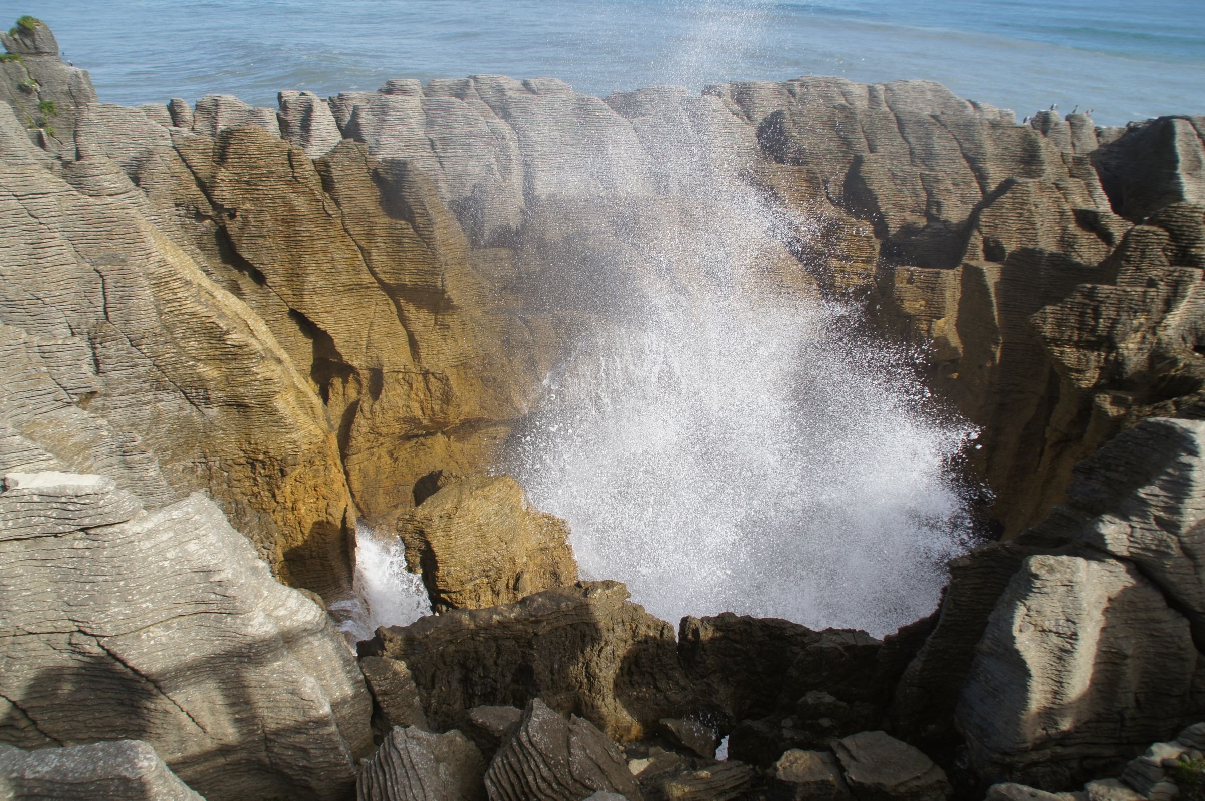 The blowhole at the Pancake Rocks, Punakaiki
