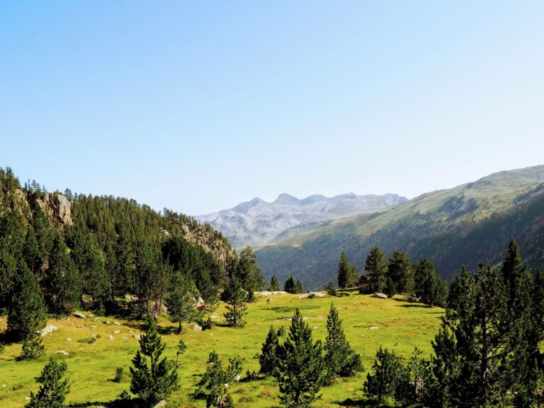 A green mountain valley in the Catalan Pyrenees