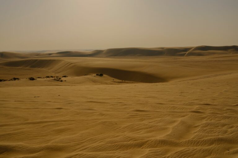 Desert & the Inland Sea