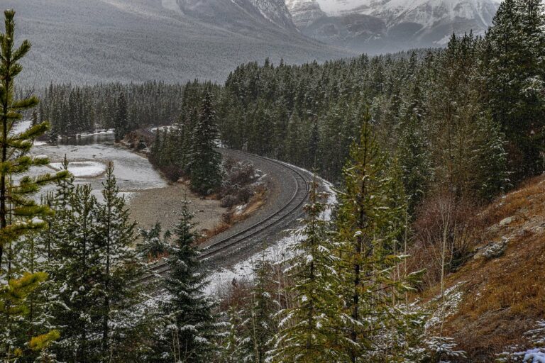A railway through the forests of Jasper