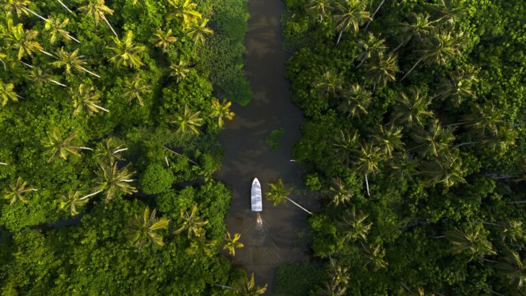 A boat on a river through the rainforest from the air