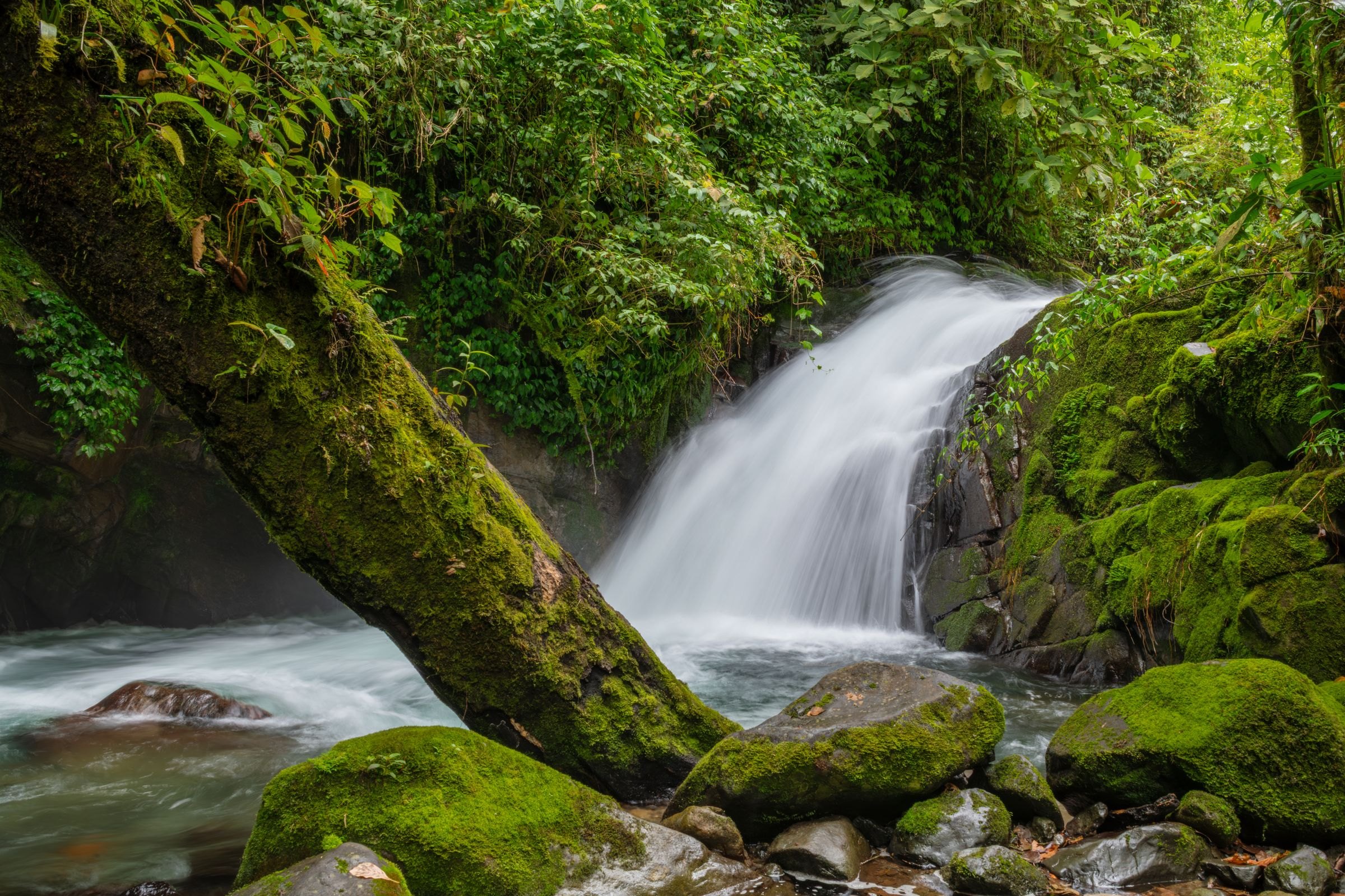 A rainforest waterfall in Costa Rica