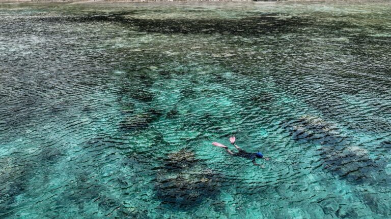 Snorkelling over a Red Sea reef