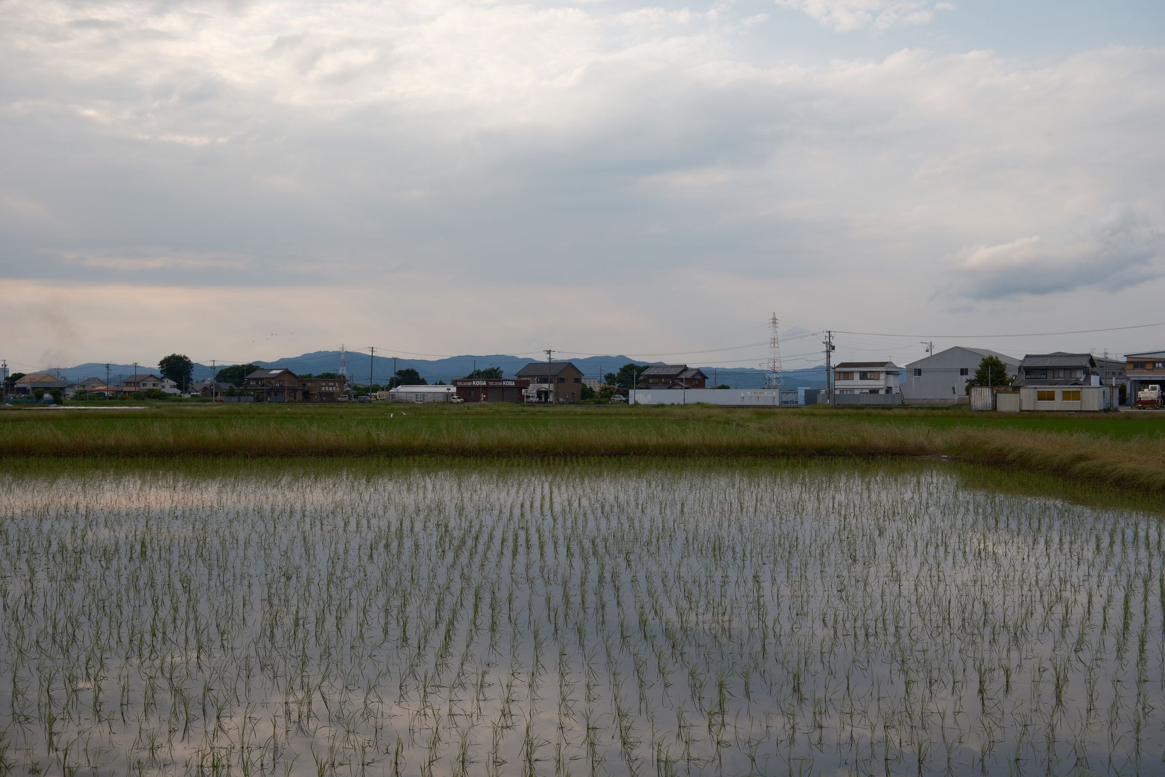 A rice paddy in rural Japan