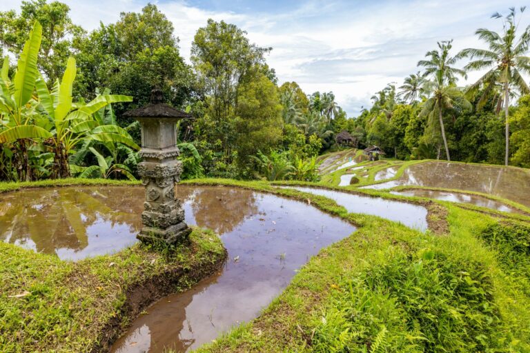 Rice terraces and a shrine in Bali
