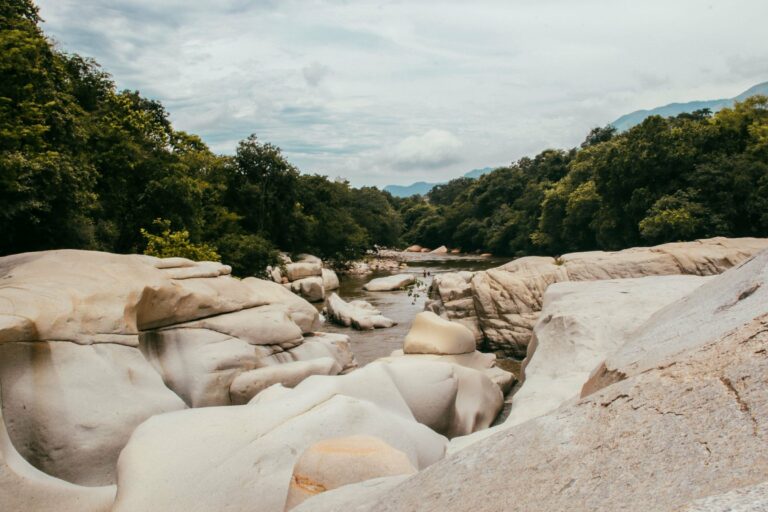 A river through rocks and forest