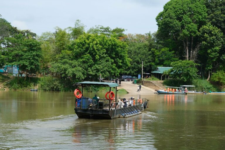A passenger boat on a jungle river