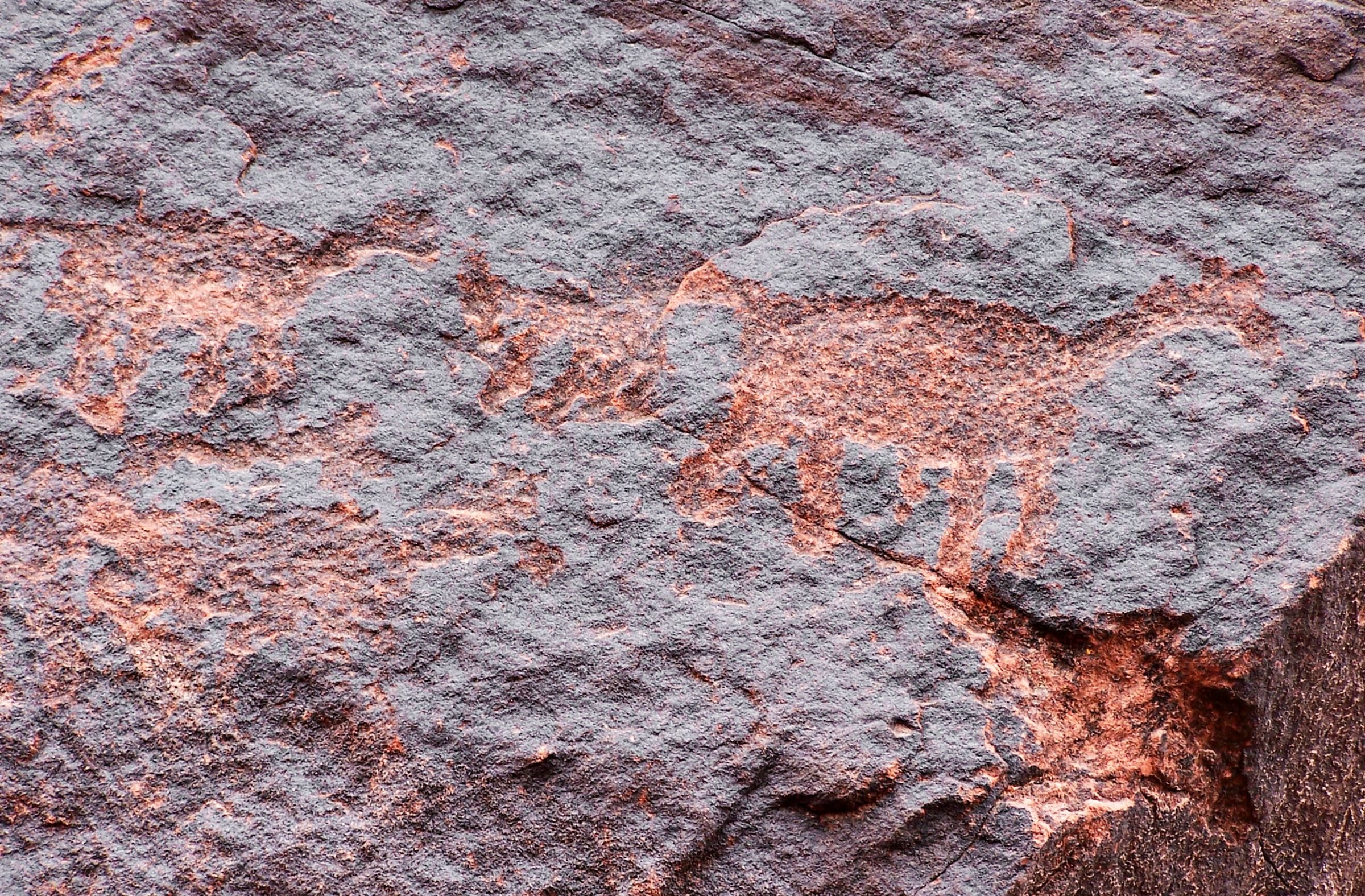 Ancient rock engravings