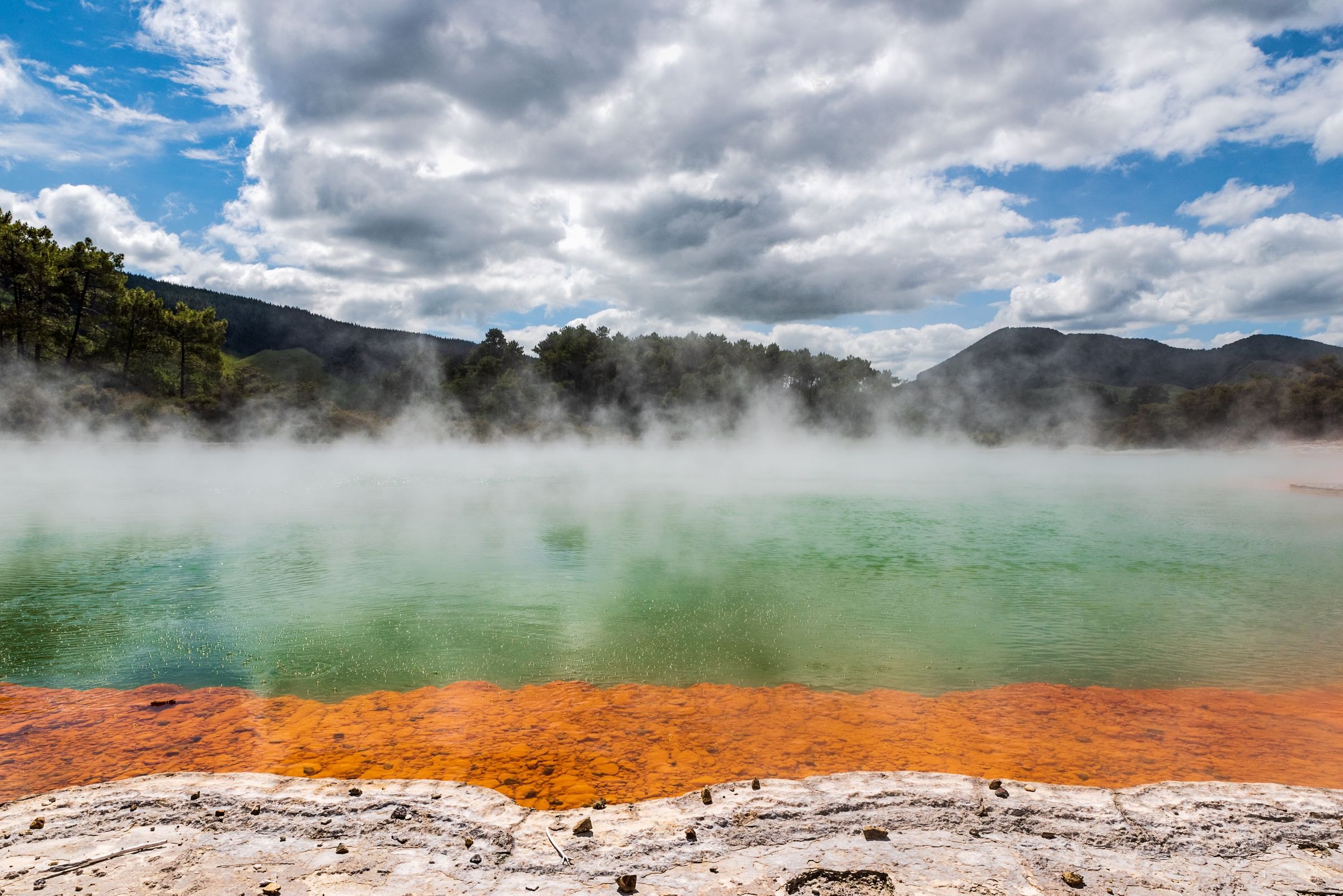 A hot spring in Rotorua