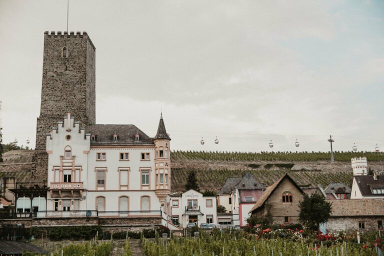 Boosenburg Castle in Rüdesheim am Rhein