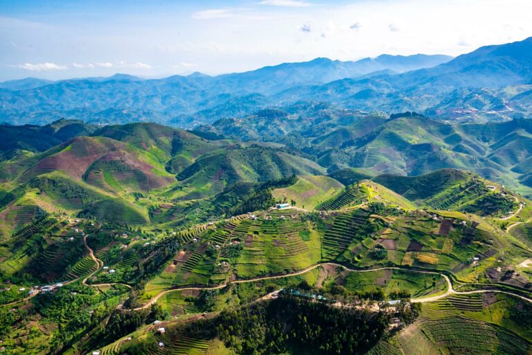 The terraced hills of Rwanda