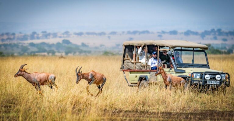 Travellers on a game drive watching antelope