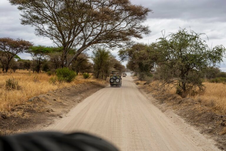 A safari vehicle on a dusty road through the bush