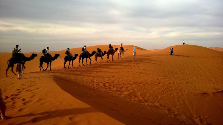A camel caravan crossing the Sahara dunes