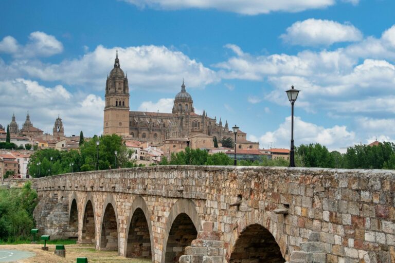 Salamanca Cathedral and the Roman bridge