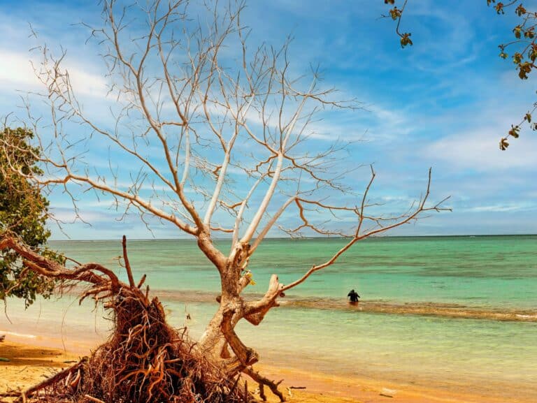 Samoa Small Group Tour: Upolu, Savai’i & To Sua Trench – 9 Days