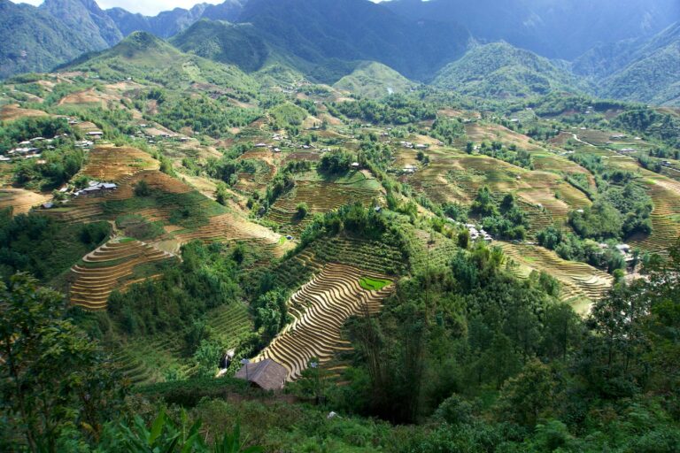 Rice terraces around Sapa, Vietnam