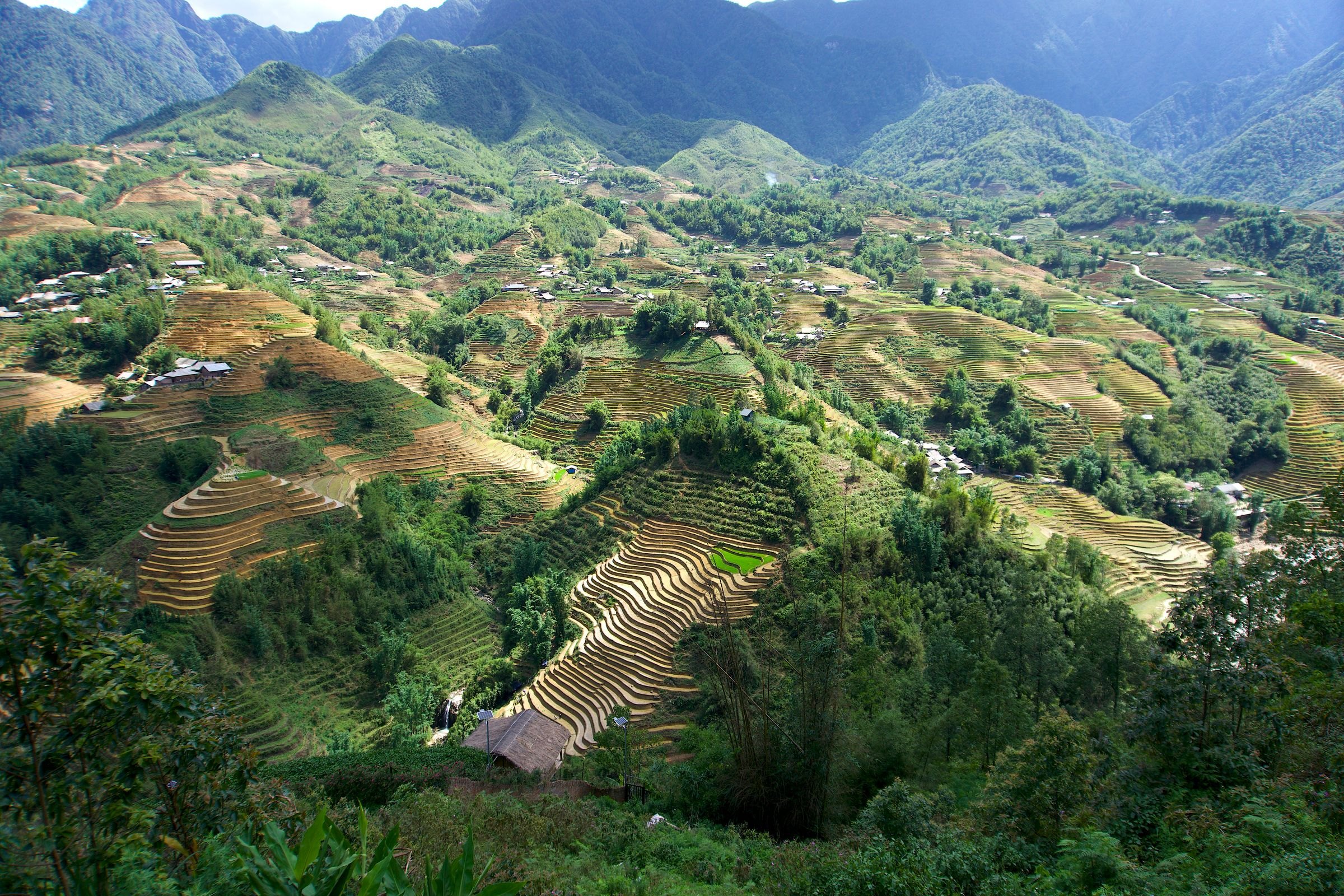 Rice terraces around Sapa, Vietnam