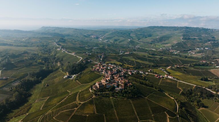 Vineyards around Serralunga d'Alba from above