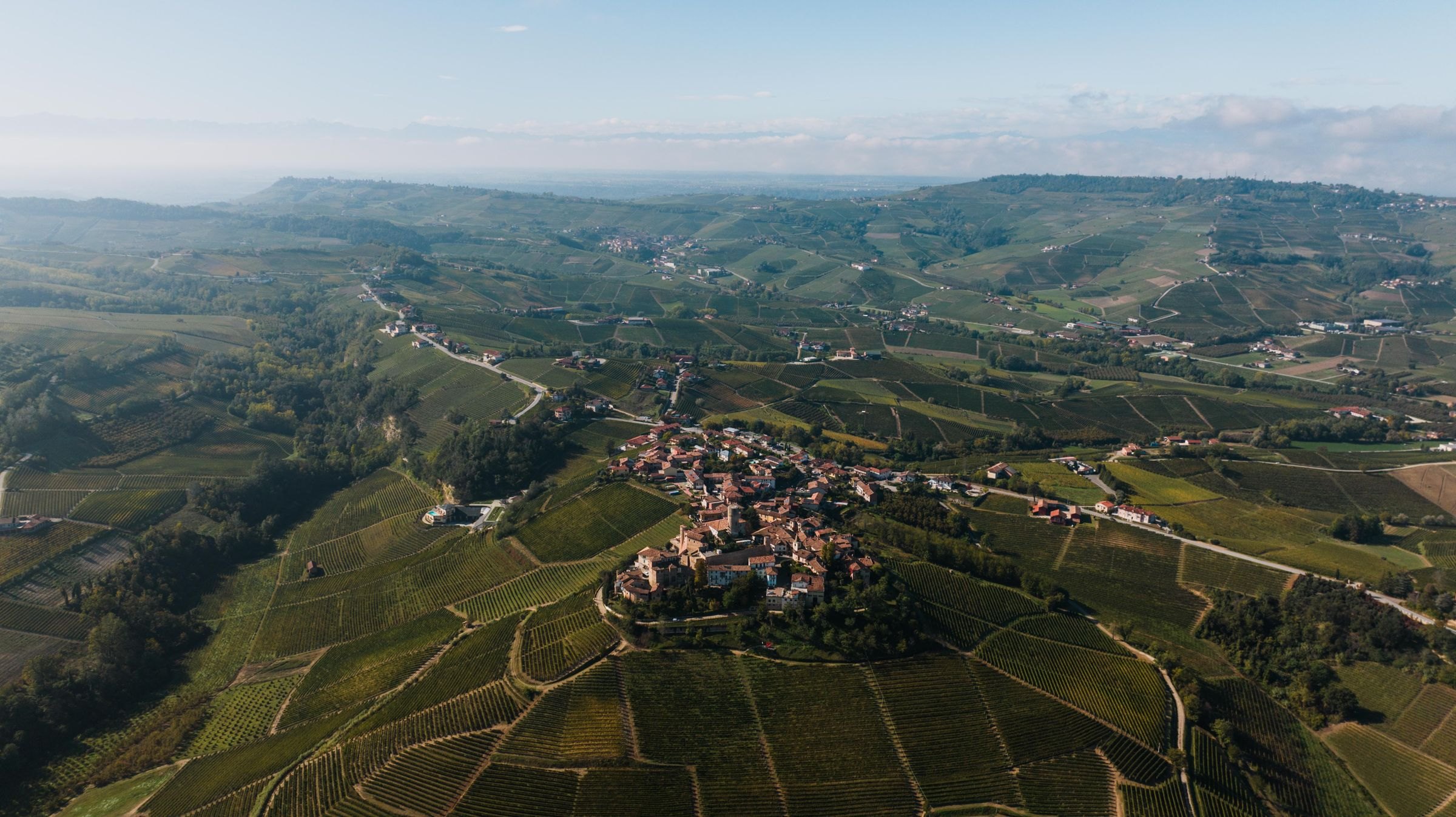 Vineyards around Serralunga d'Alba from above