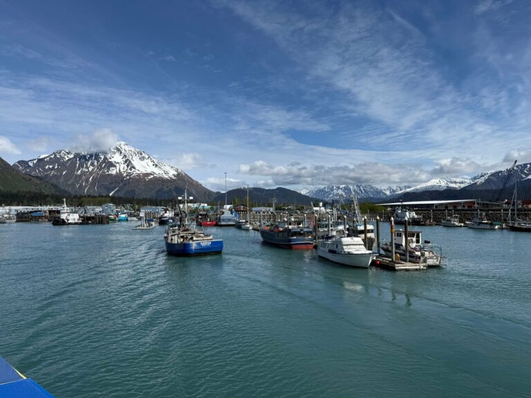 Boats in Seward harbour