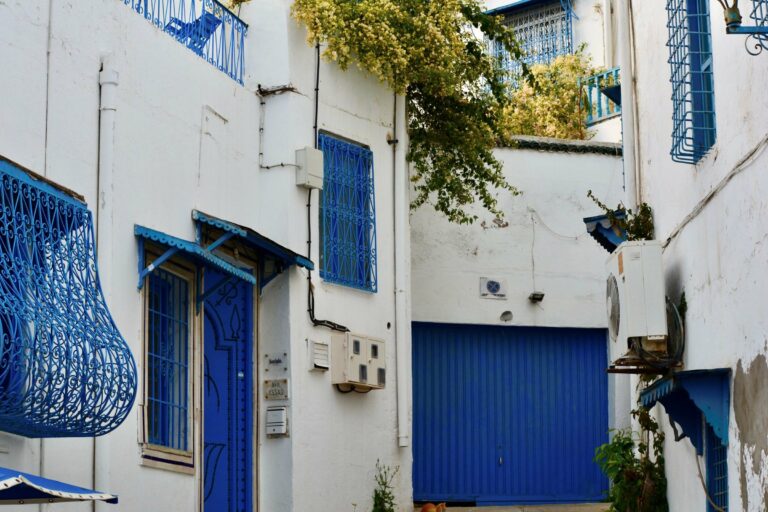 A blue-and-white alley in Sidi Bou Said