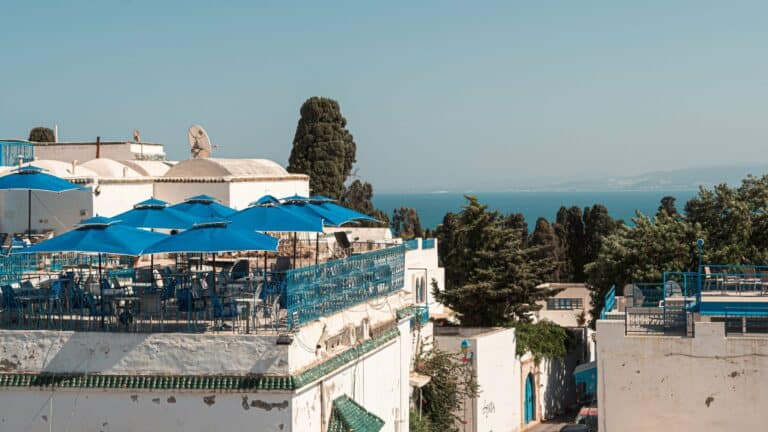 Blue-and-white terraces above the sea at Sidi Bou Said, Tunisia