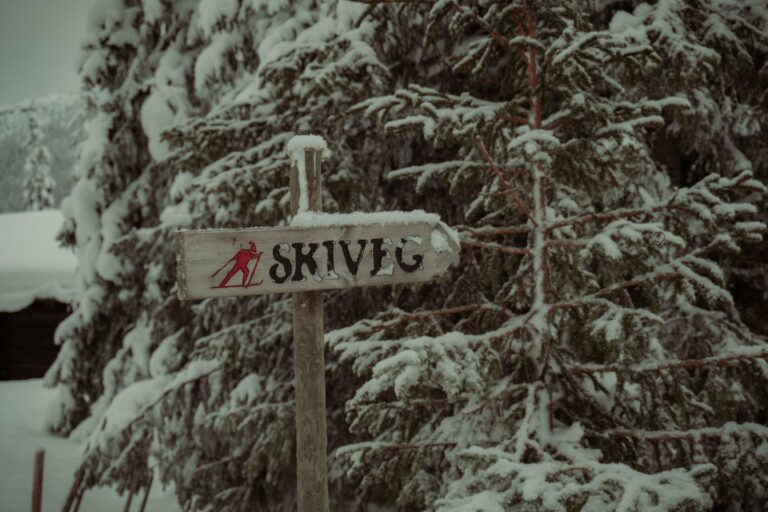 A ski trail sign in a snowy Norwegian forest