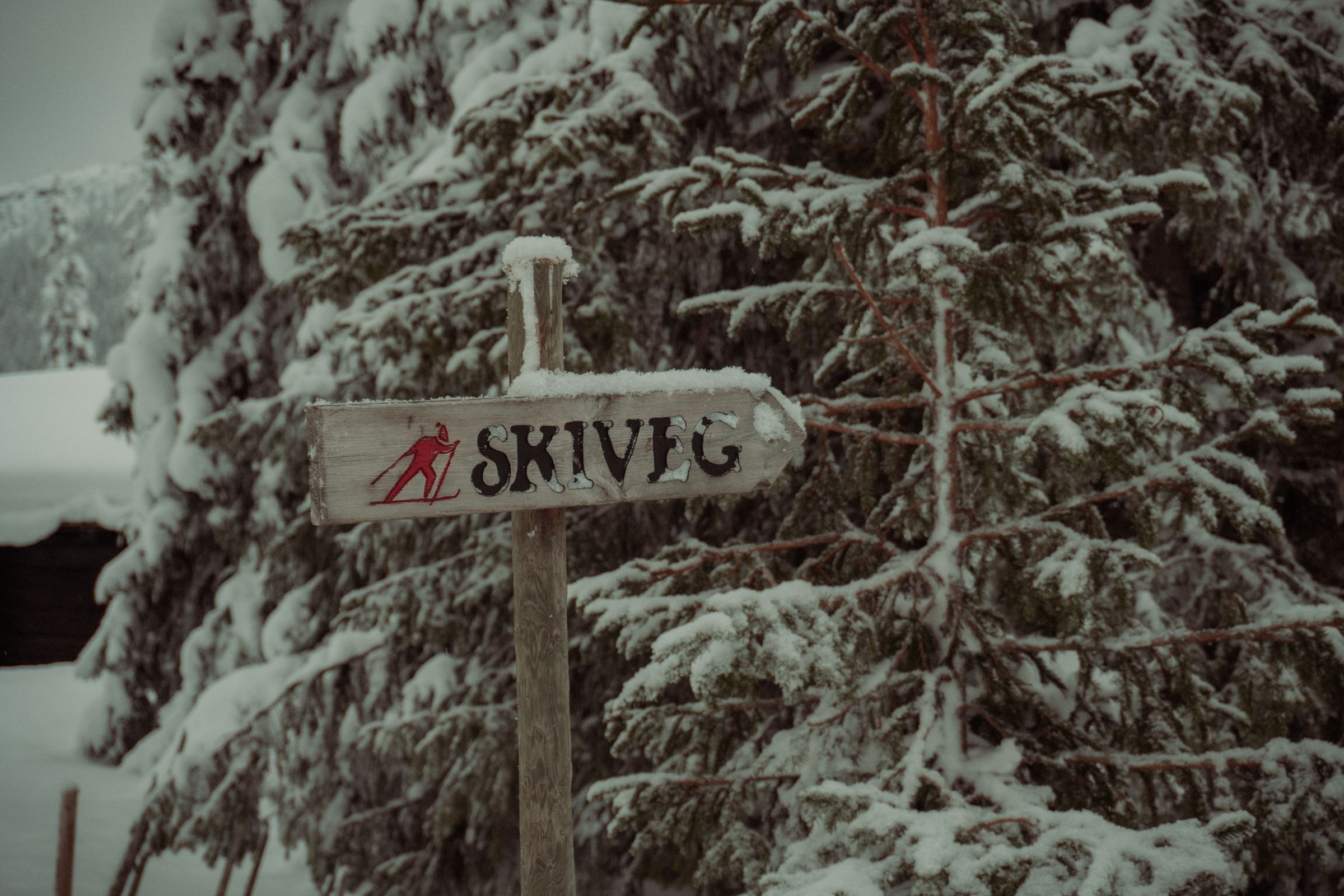 A ski trail sign in a snowy Norwegian forest