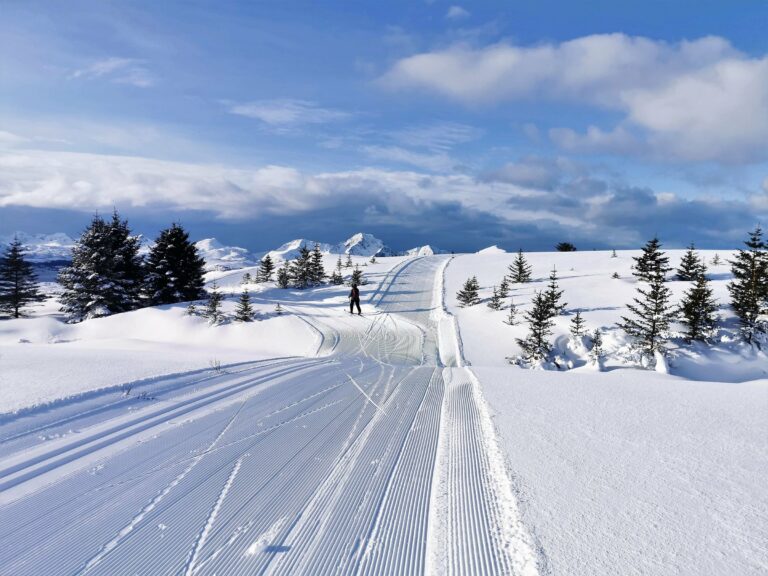 A lone cross-country skier on a groomed trail in Norway