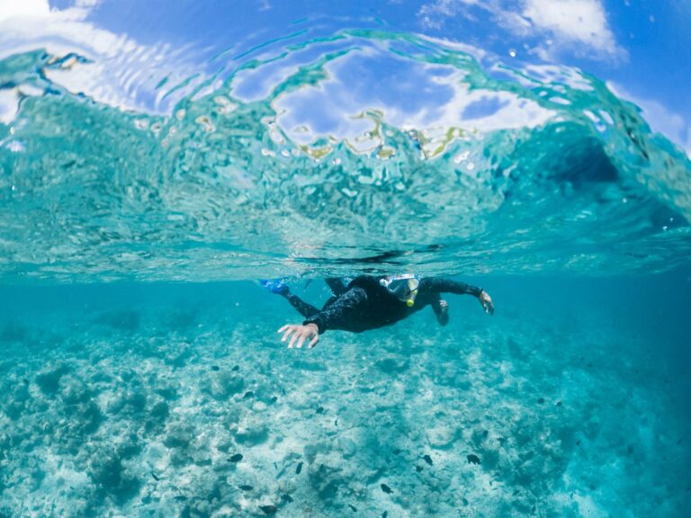 Snorkelling in clear tropical water
