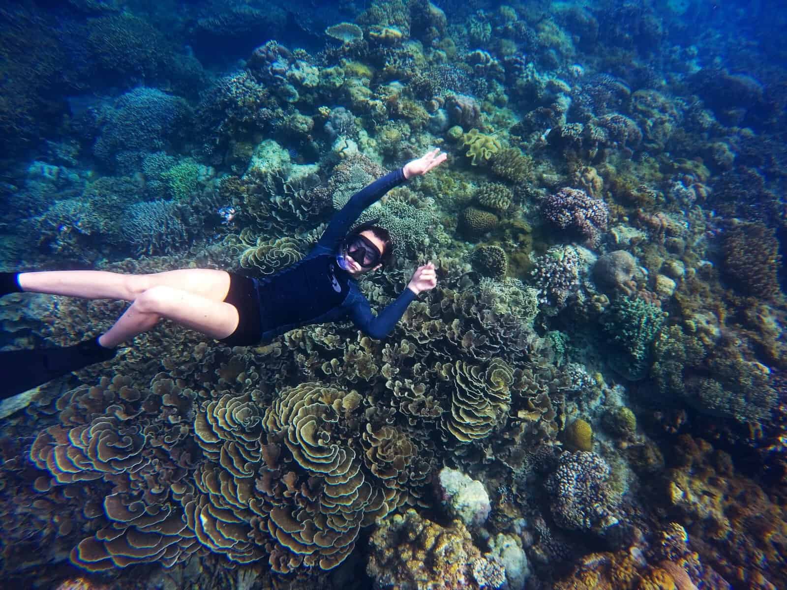 Snorkelling over a coral reef