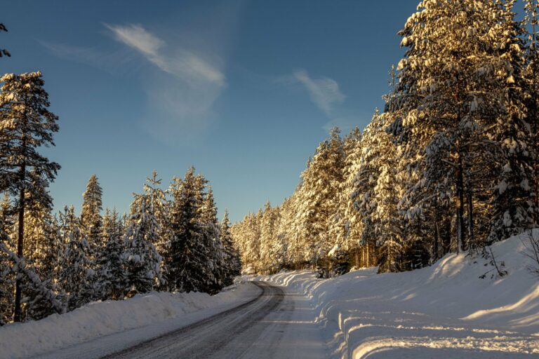A snow-covered road through a Norwegian forest