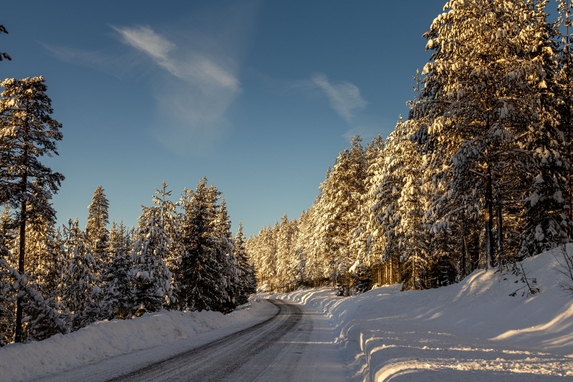 A snow-covered road through a Norwegian forest