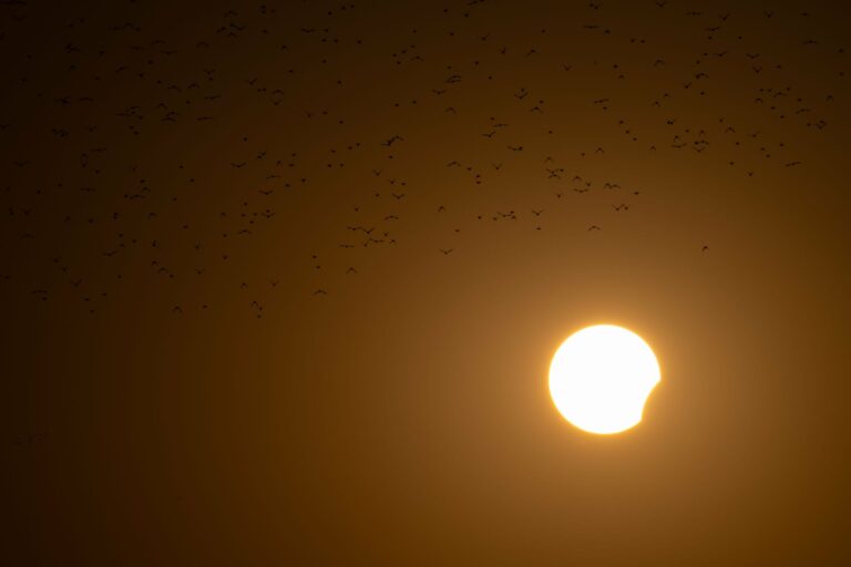 A solar eclipse