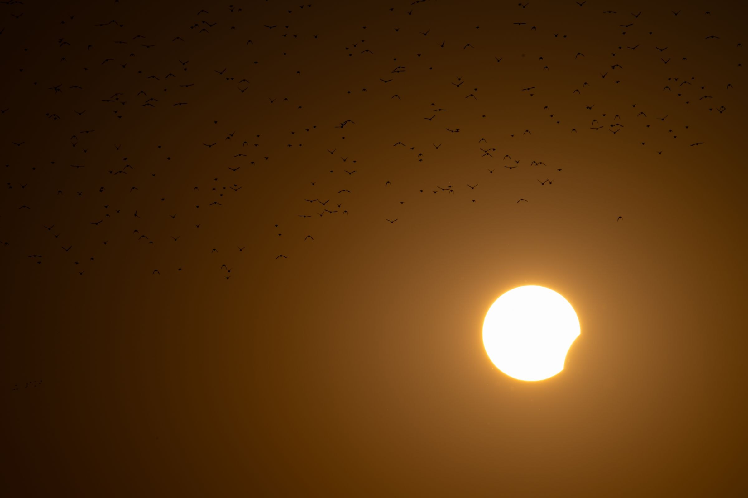 A solar eclipse