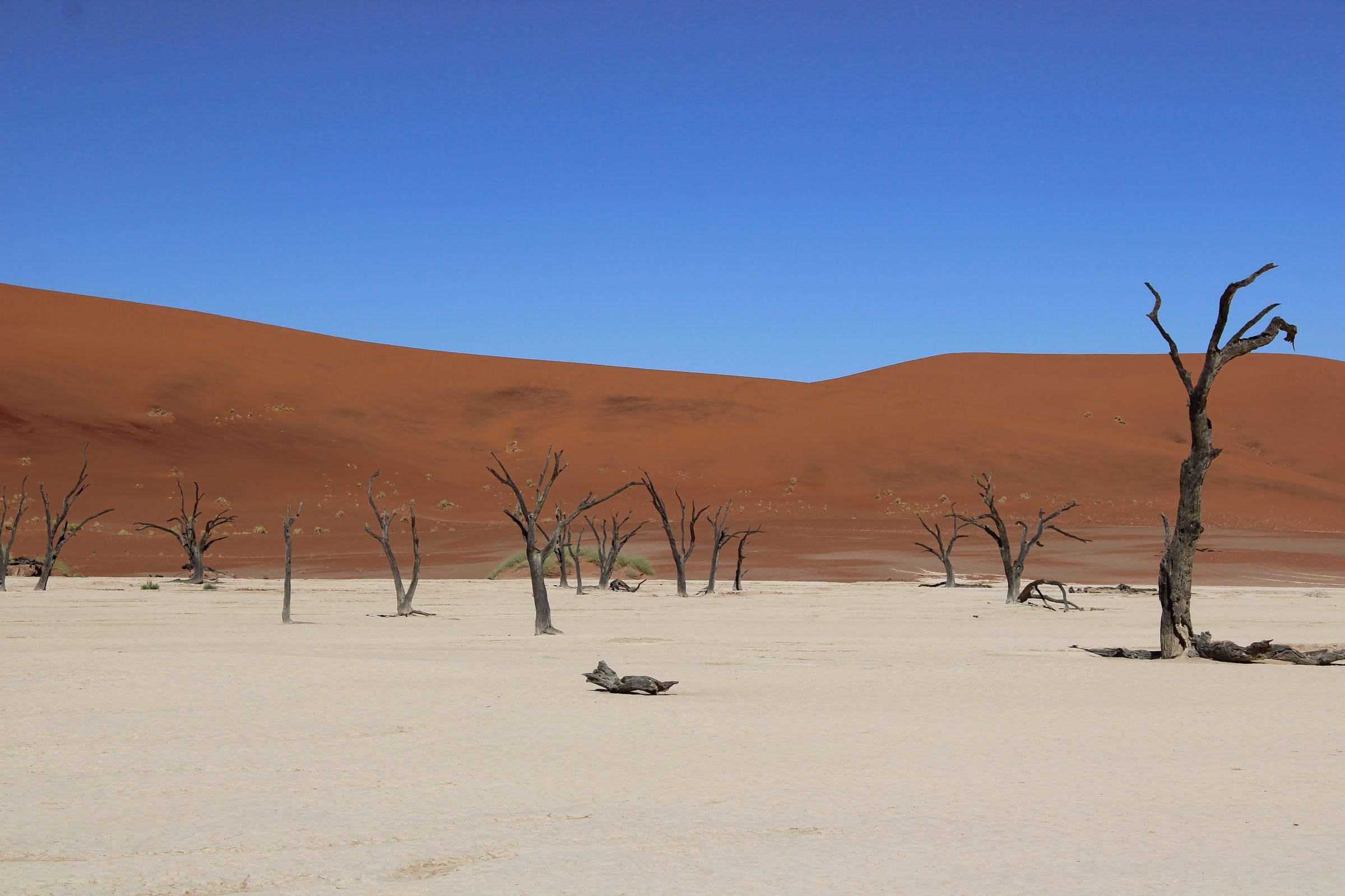 Dead trees and red dunes at Sossusvlei