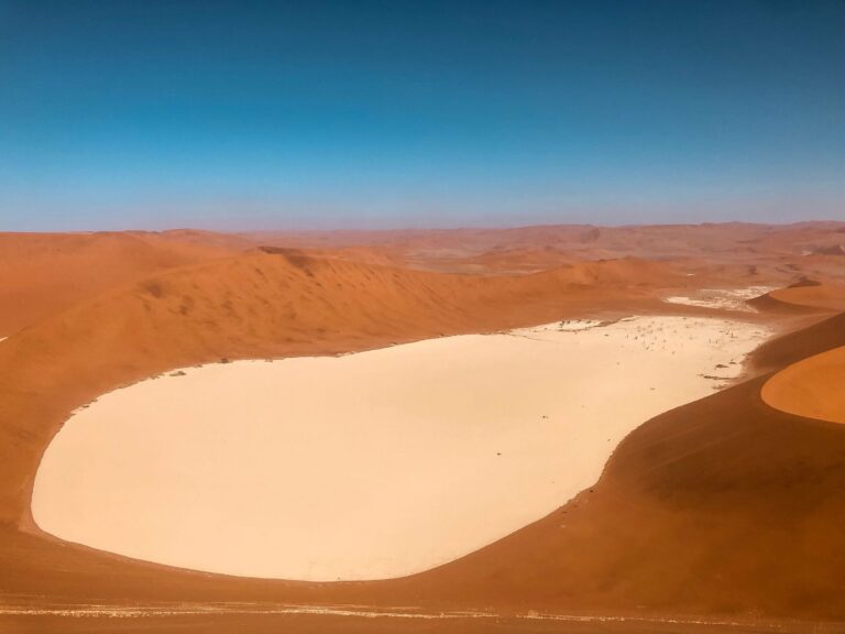 The Sossusvlei pan from above