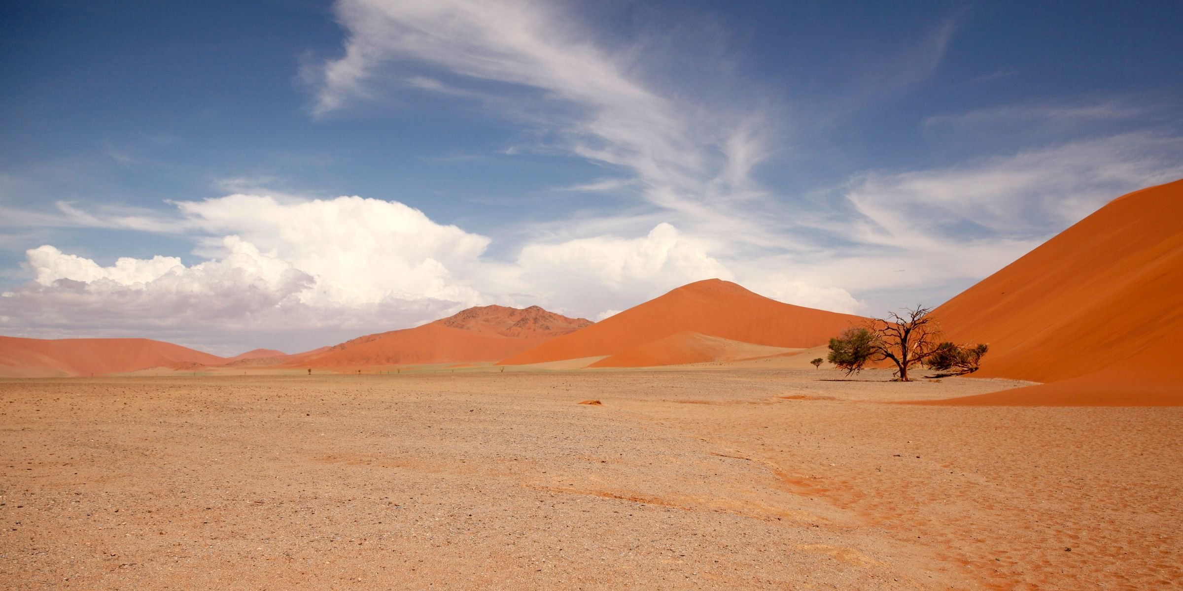 Red sand dunes of the Namib Desert