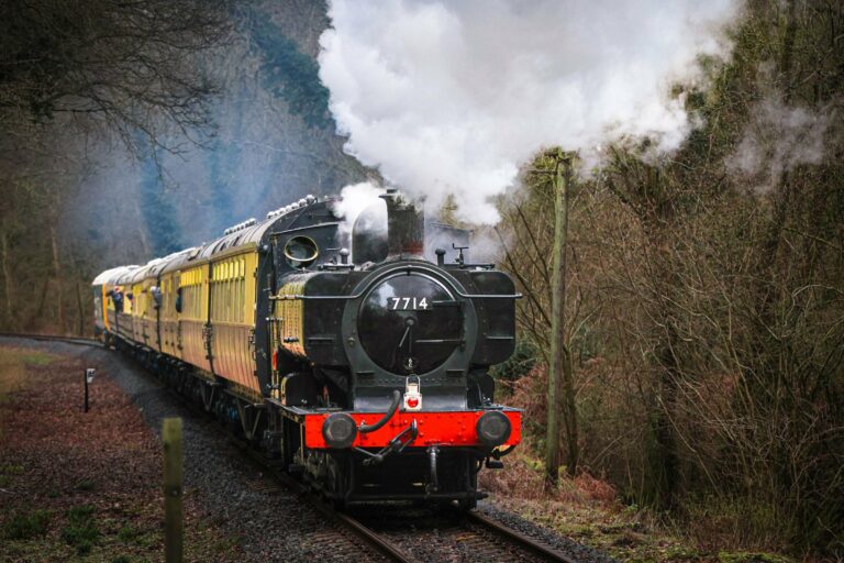 A steam train travelling through a forest