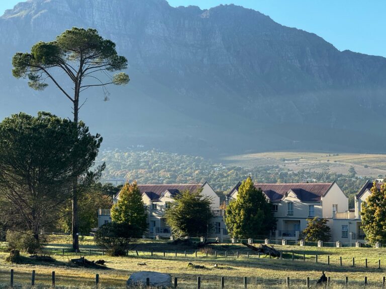 Stellenbosch below its mountain