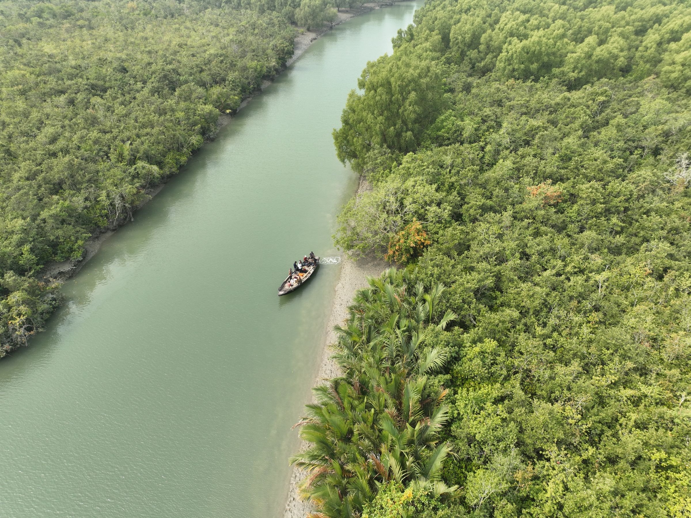 A boat in the Sundarbans mangroves