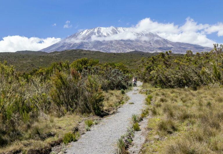 Kilimanjaro & North