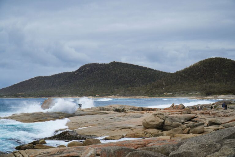 Waves on the Tasmanian coast